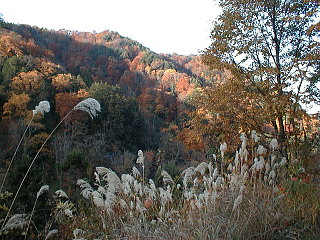 �ѓ�����̎R��