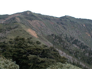 �Ő�����̉�����