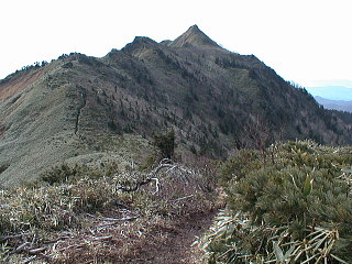 �Ő�����̌��P��R