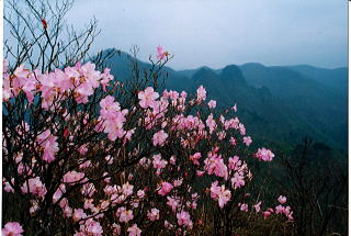 碧岩からの二子岳方面