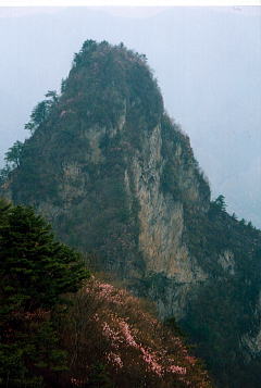 大岩方面からの碧岳
