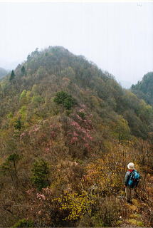 �}���A�G�X�q�x���ʂQ